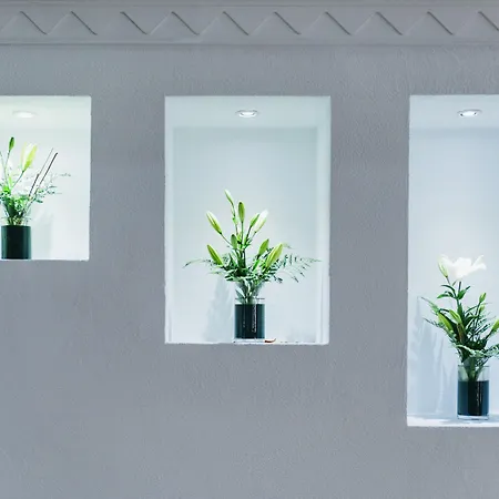 Ona Palm 3* Playa de las Américas